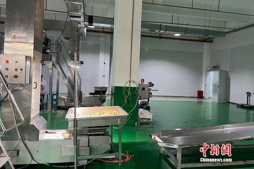 万千气象看云南丨从一颗核桃开始，在西南边陲探索“一县一业”加工