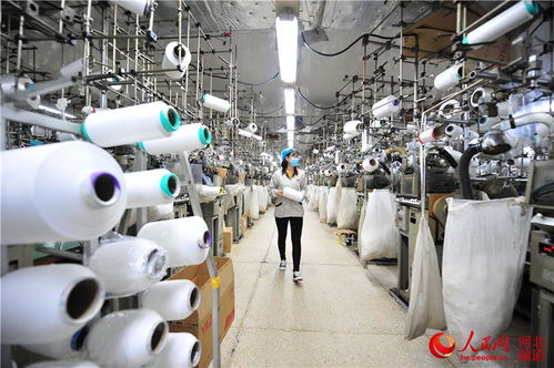 秦皇岛出口加工区一季度进出口业务逆势增长 科技赋能与政企协作下的双轮驱动