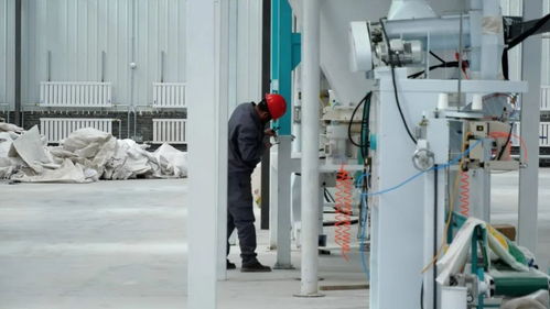 北安 黑龙江北部粮豆加工贸易枢纽项目加速推进，助力农业全产业链升级